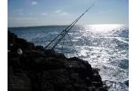 Sea Fishing_11