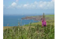 Pembrokeshire Coast_5