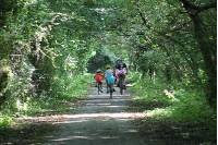 Pembrokeshire Activities_1