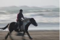 Beach Riding_2