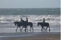 Beach Riding_4
