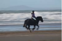 Beach Riding_9